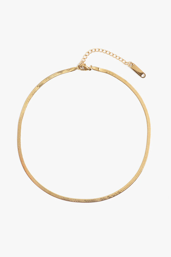 MARRIN COSTELLO JEWELRY - RAMSEY CHOKER 3MM